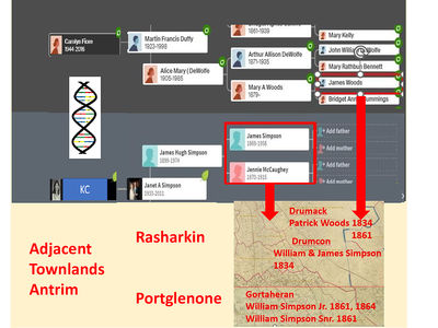 DNA Helps Break Down Irish Brick Wall